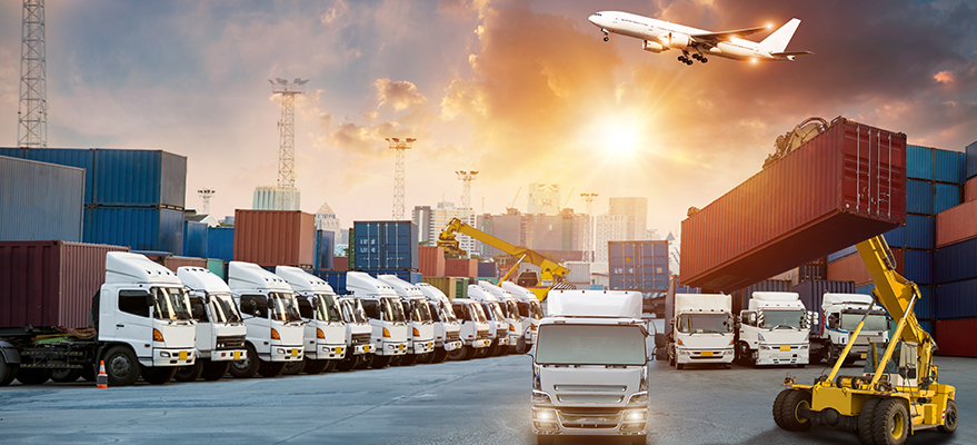 Độ uy tín của các nhà vận chuyển