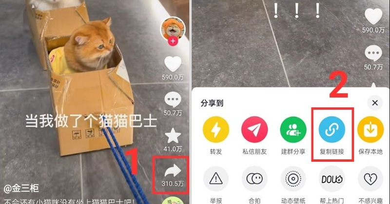 Chọn biểu tượng liên kết để thực hiện sao chép link video cần tải về