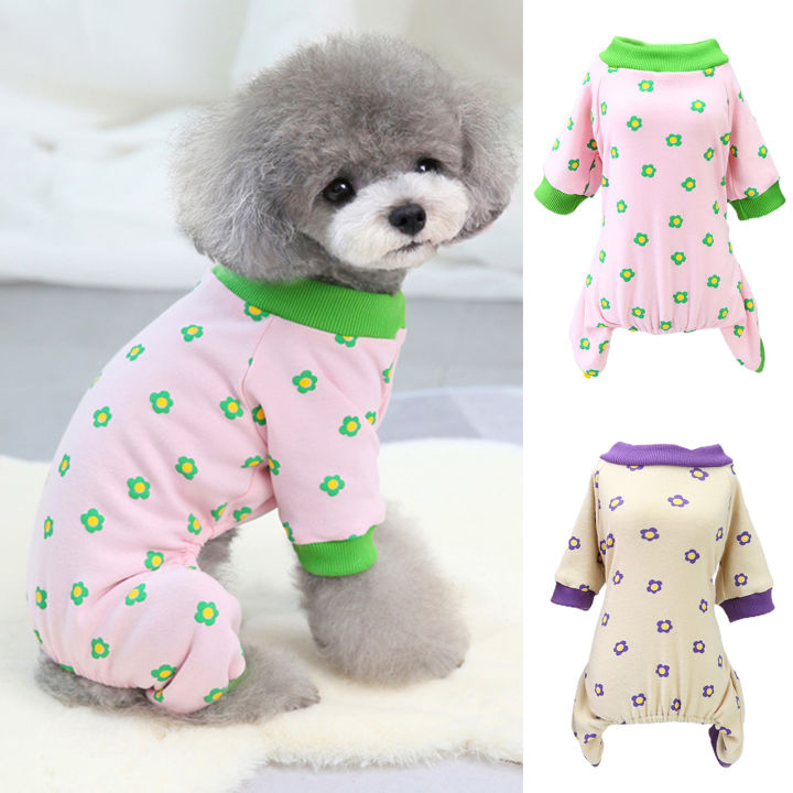 Các phụ kiện như mũ, chăn, đệm, hay túi giữ ấm dành cho thú cưng cũng rất được ưa chuộng