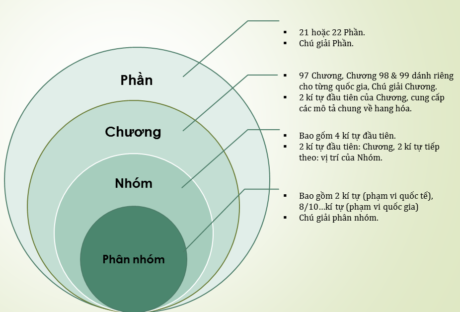Xác Định HS Và Thủ Tục Nhập Khẩu Balo Việc tra cứu mã HS chính xác cho balo là bước đầu tiên và quan trọng nhất