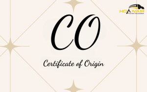 CO là gì? Dùng CO để làm gì? CO form E là một trong những loại chứng từ vô cùng cần thiết, quan trọng khi bạn nhập khẩu hàng hóa từ Trung Quốc về Việt Nam